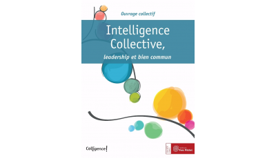 Intelligence Collective, leadership et bien commun