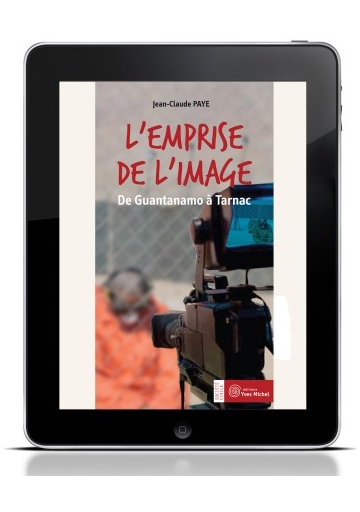 L'emprise de l'image (Ebook)