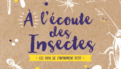 A l’écoute des insectes (Ebook)