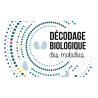 Décodage biologique des maladies - Nouvelle édition (Ebook)