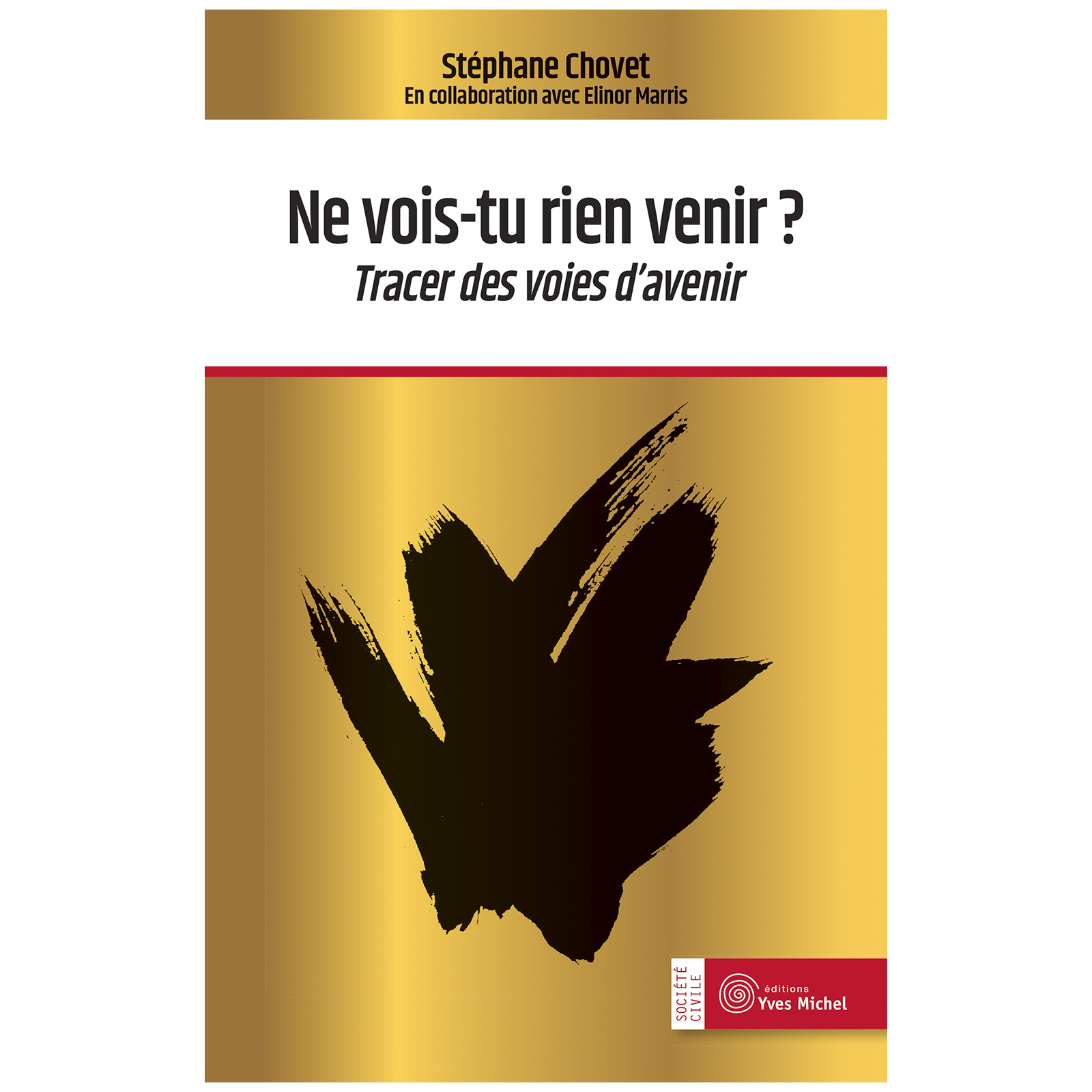 Ne vois-tu rien venir ? (Ebook)
