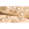 Les perles de sagesse de ma mère