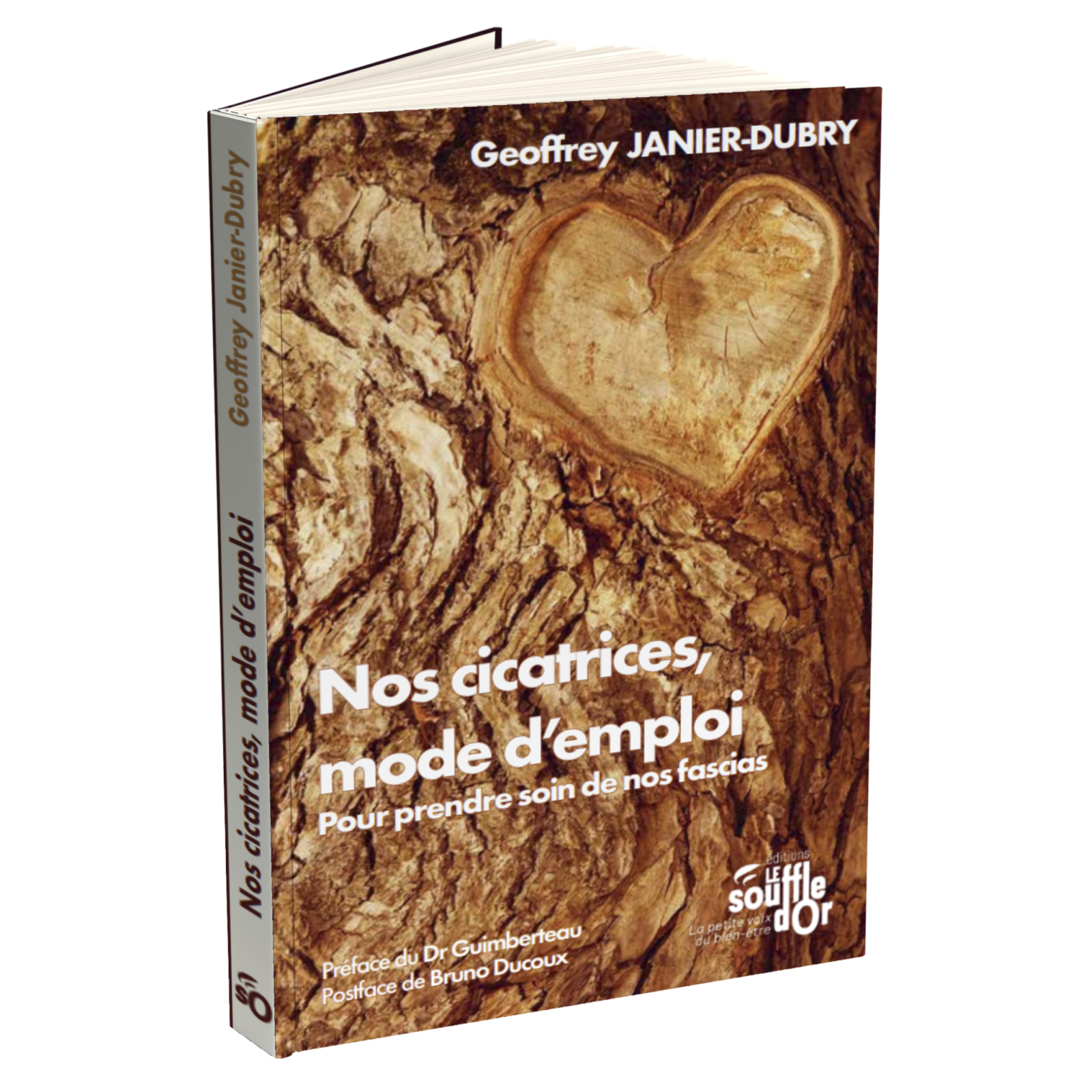 Nos cicatrices, mode d'emploi Ebook