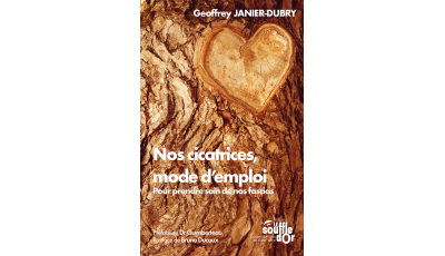 Nos cicatrices, mode d'emploi Ebook