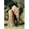Guidés par les éléphants