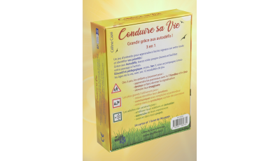 Conduire sa vie – Jeu de développement personnel 2ᵉ édition | Le Souffle d’Or