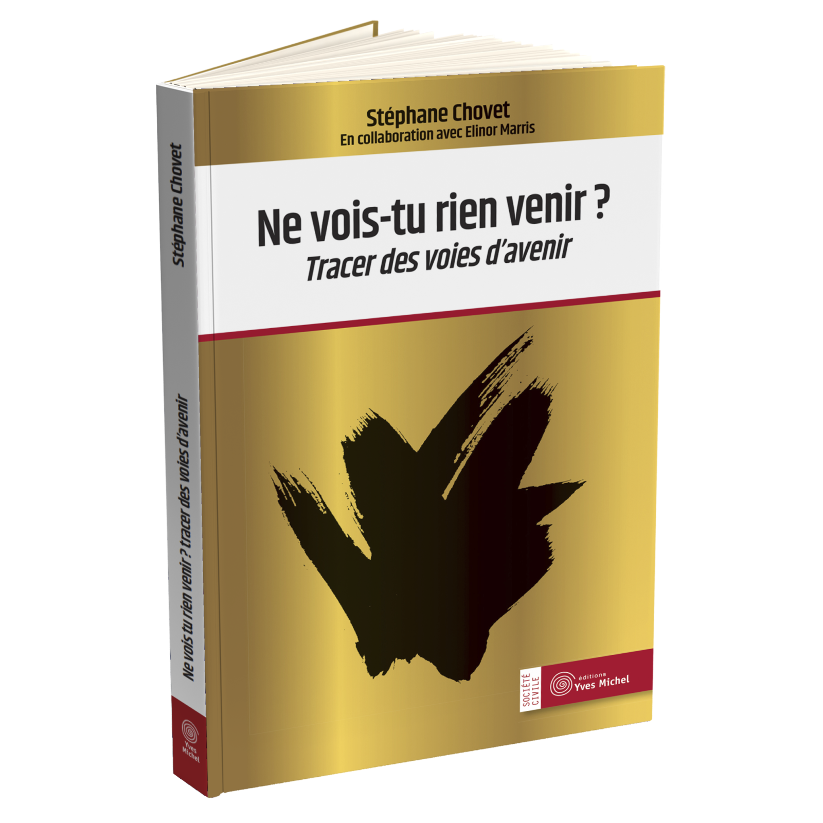 Ne vois-tu rien venir ?
