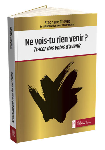 Ne vois-tu rien venir ?