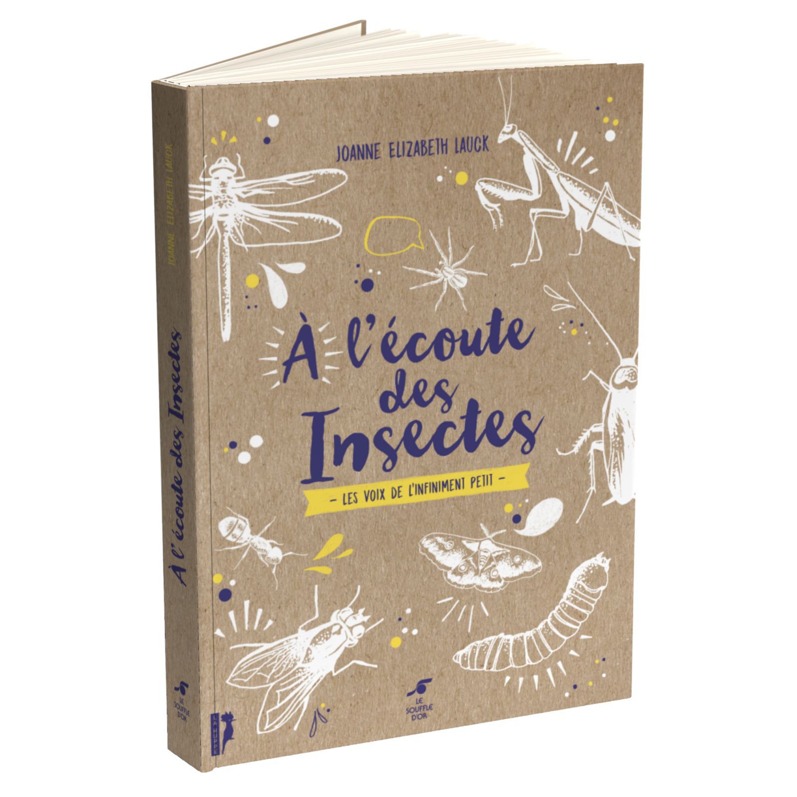 A l’écoute des insectes