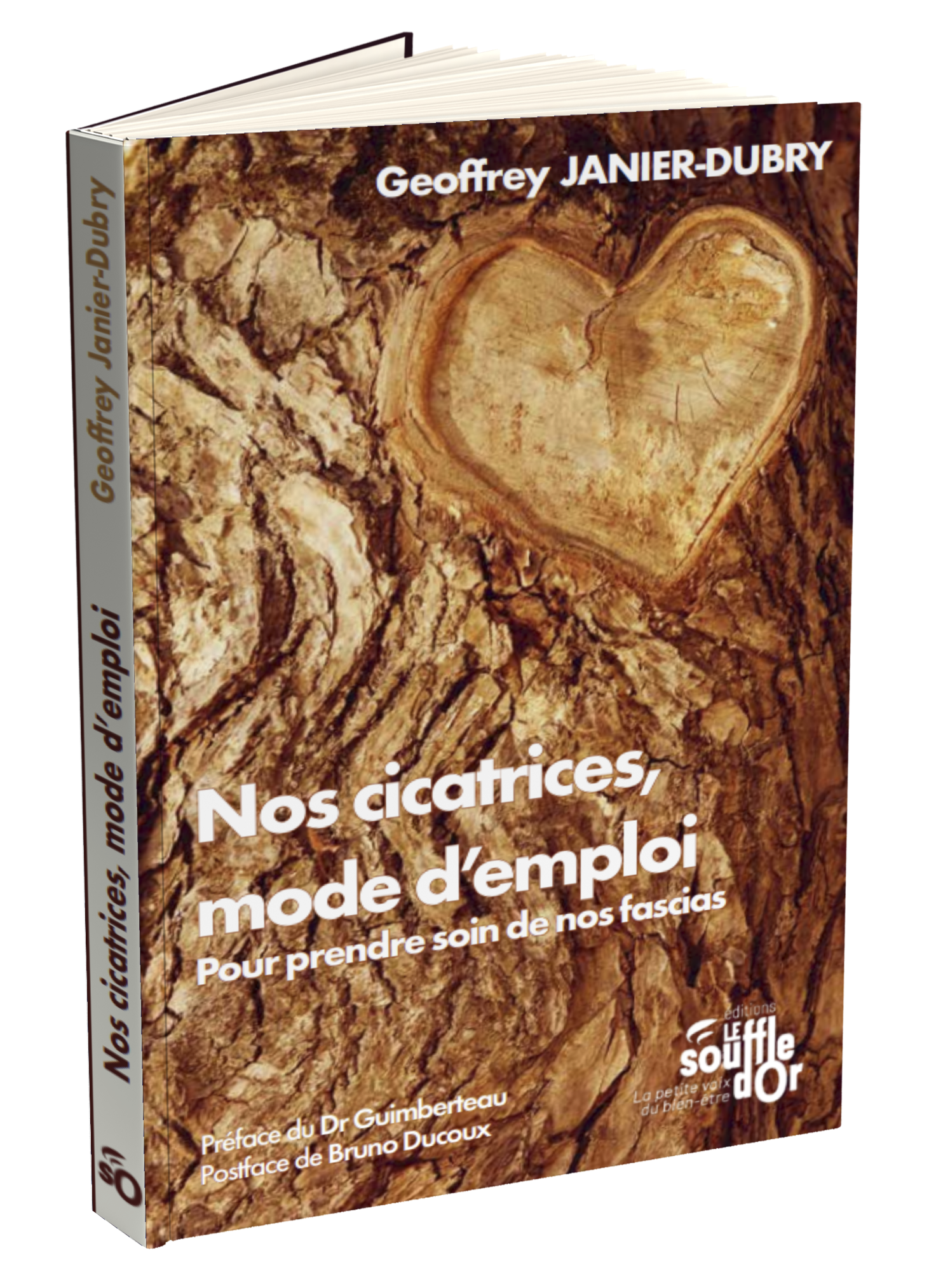 Nos cicatrices, mode d'emploi  par Geoffrey Janier-Dubry