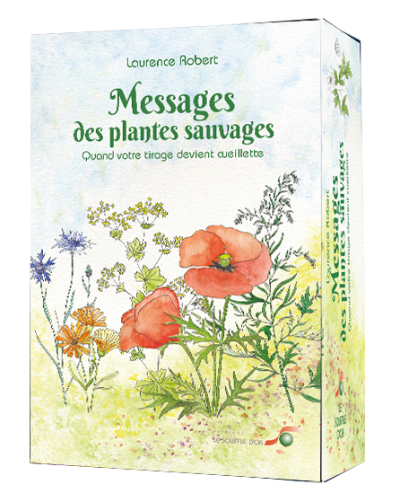 Messages des plantes sauvages  par Laurence Robert