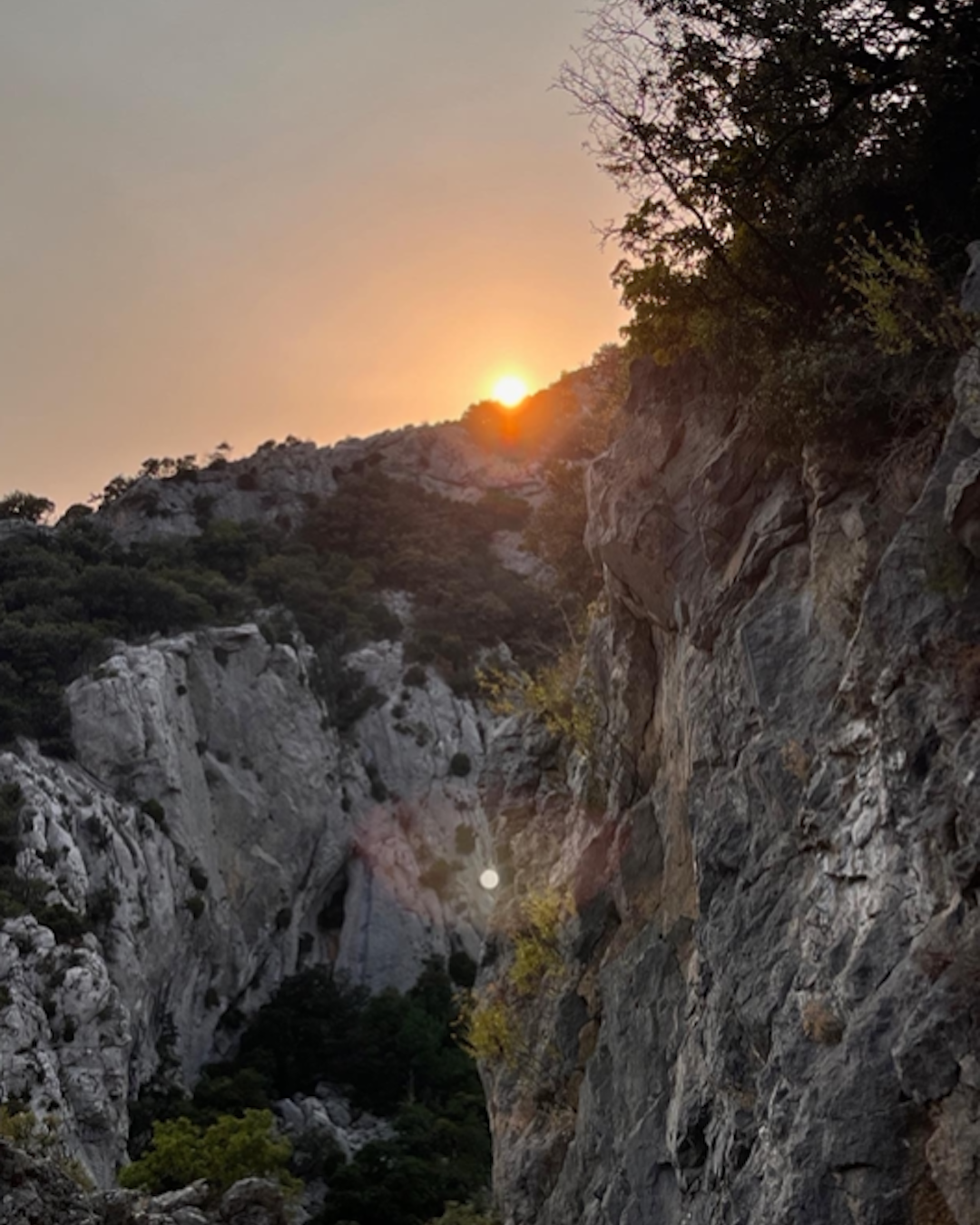 Alchimiser ses ombres et sortir des déterminismes  par Christine MARSAN