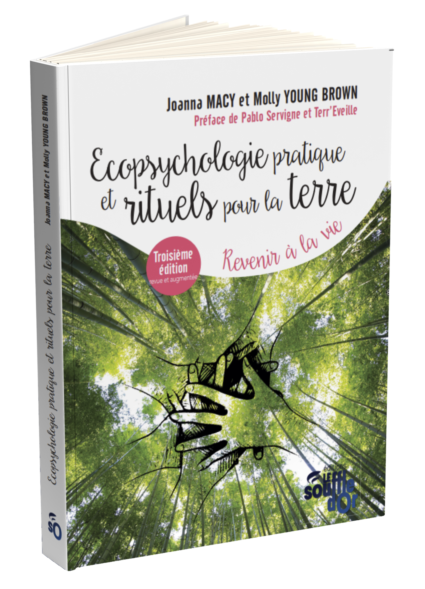 Ecopsychologie pratique et rituels pour la Terre (Nouvelle édition)  par Joanna MACY