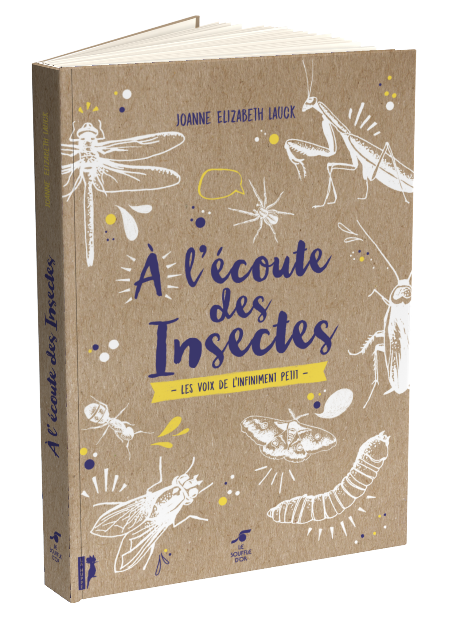 A l’écoute des insectes  par Joanne Elizabeth LAUCK