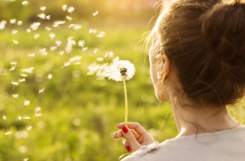 8 plantes incontournables de la santé des femmes